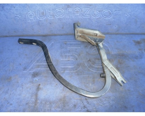 Петля крышки багажника Chevrolet Lanos 2004-2010 (96306119)- купить на ➦ А50-Авторазбор по цене 150.00р.. Отправка в регионы.