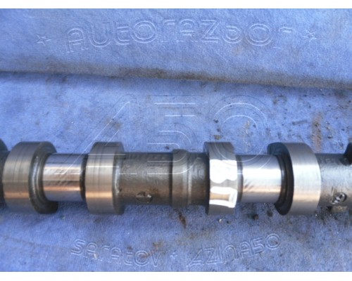 Распредвал впускной Lifan Breez (520) 2007-2014 (LF479Q11006101A)- купить на ➦ А50-Авторазбор по цене 1500.00р.. Отправка в регионы.