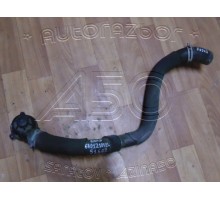 Патрубок радиатора Skoda Rapid 2013>