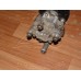 Насос гидроусилителя руля (ГУР) Chery Amulet (A15) 2006-2012 (A113407020)- купить на ➦ А50-Авторазбор по цене 2500.00р.. Отправка в регионы.