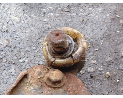 Рычаг передний Ford Escort 1995-2001 (ME95AB3051A1E)- купить на ➦ А50-Авторазбор по цене 1500.00р.. Отправка в регионы.