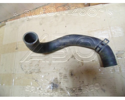 Патрубок радиатора Kia RIO III 2011-2017 (254121R000)- купить на ➦ А50-Авторазбор по цене 600.00р.. Отправка в регионы.