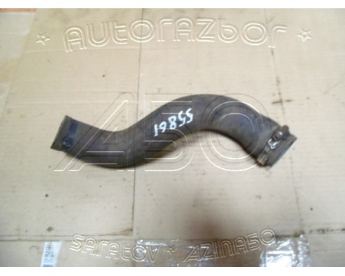 Патрубок радиатора Ssang Yong Actyon New/Korando 2010> (2142134020)- купить на ➦ А50-Авторазбор по цене 600.00р.. Отправка в регионы.