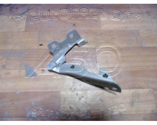 Петля капота Renault Clio II/Symbol 1998-2008 (8200715437K)- купить на ➦ А50-Авторазбор по цене 1000.00р.. Отправка в регионы.