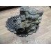 Корпус КПП Nissan X-Trail (T30) 2001-2007 (321008H800)- купить на ➦ А50-Авторазбор по цене 4000.00р.. Отправка в регионы.