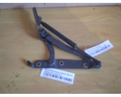 Петля багажника левая/правая Nissan Teana (J32) 2008-2013 (84400JN00A)- купить на ➦ А50-Авторазбор по цене 500.00р.. Отправка в регионы.