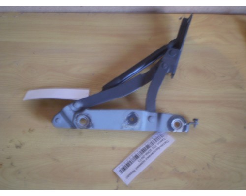 Петля багажника левая/правая Nissan Teana (J32) 2008-2013 (84400JN00A)- купить на ➦ А50-Авторазбор по цене 500.00р.. Отправка в регионы.