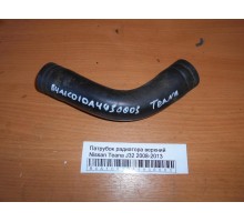 Патрубок радиатора Nissan Teana (J32) 2008-2013