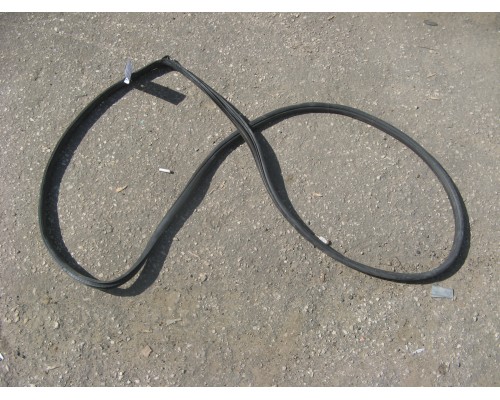 Уплотнитель двери Nissan Tiida (C11) 2007-2014 ()- купить на ➦ А50-Авторазбор по цене 500.00р.. Отправка в регионы.